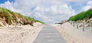 The road in dunes to the beach. Netherlands